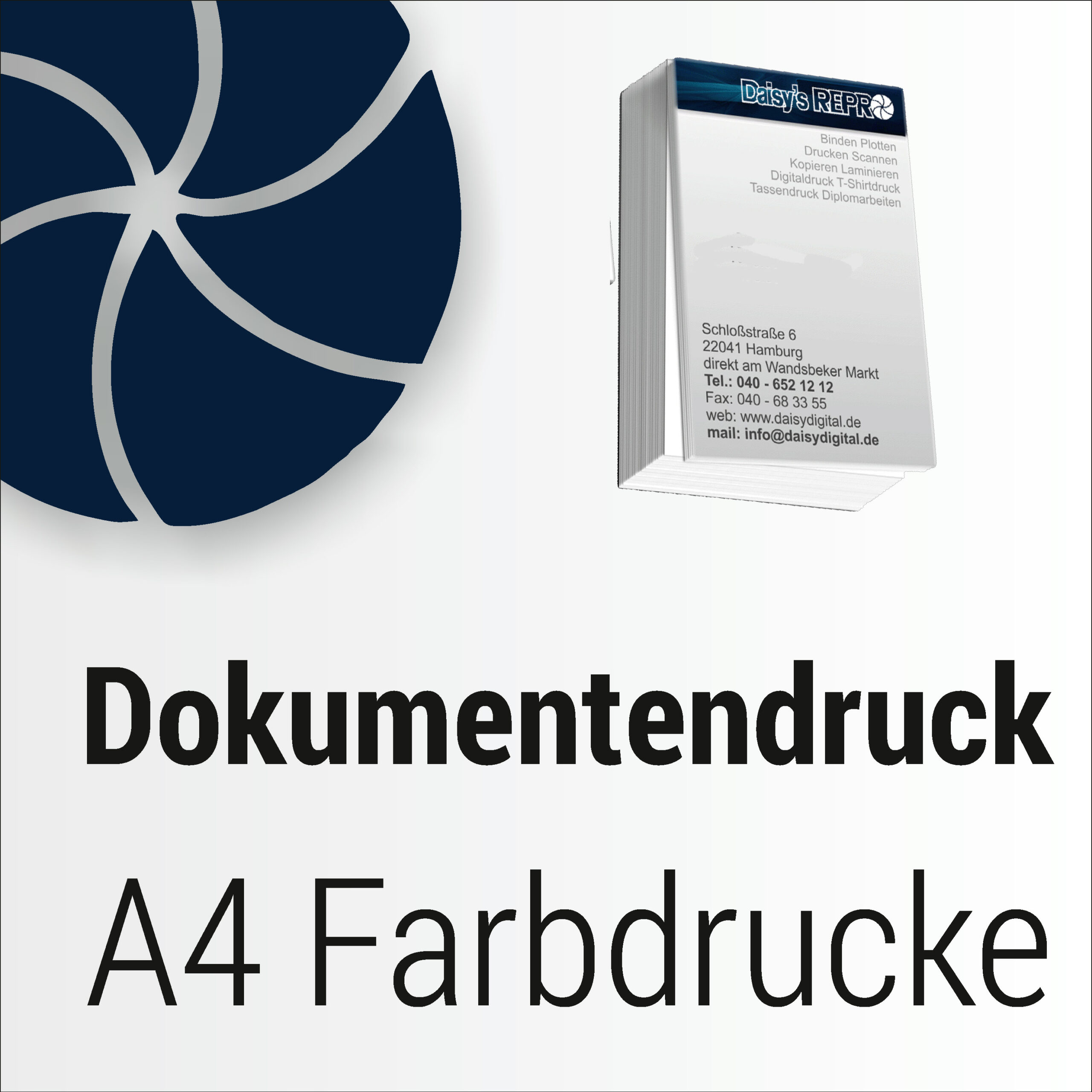 Risodruck für Schulungsunterlagen in Farbdruck  A4,