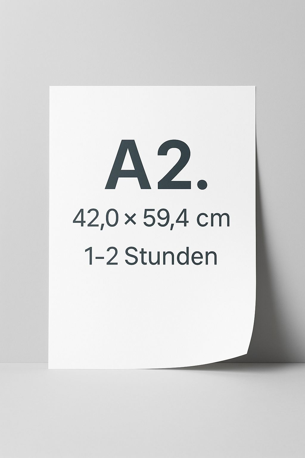 DIN A2 Poster Express